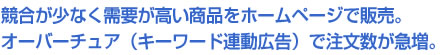 競合が少なく需要が高い商品をホームページで販売。 オーバーチュア（キーワード連動広告）で注文数が急増。